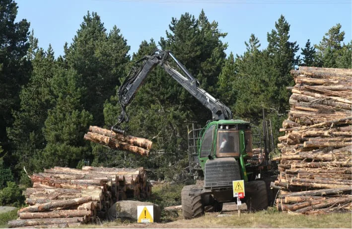 Gestion forestal 7