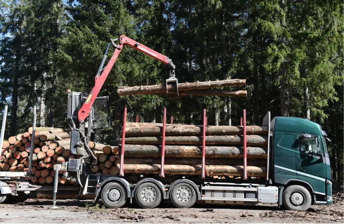 Gestion forestal 8