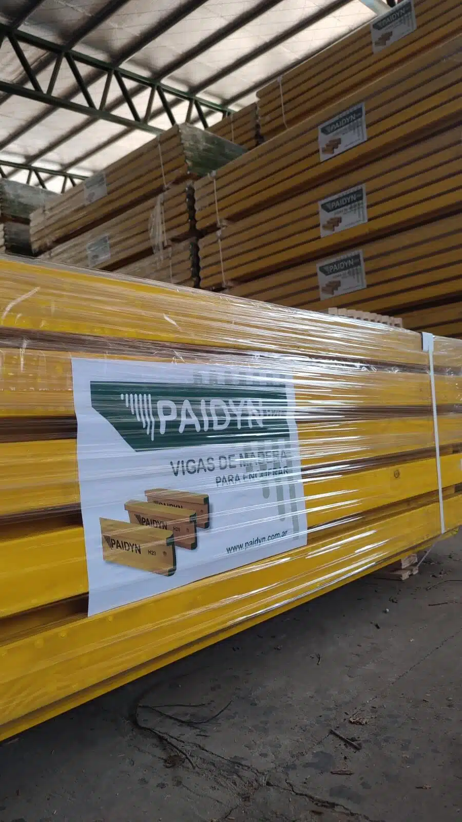 VIGA H20  PAIDYN - Imagen 4